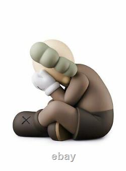 2021 KAWS Separated Brown Vinyl Figure ORDER CONFIRMED FREE SHIPPING