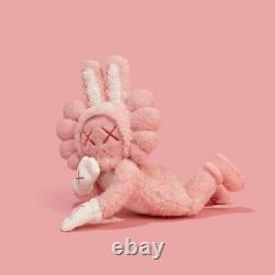 2023 Kaws Accomplice Plush Ddtstore In Hand Ships Now Free New In Box + Extra