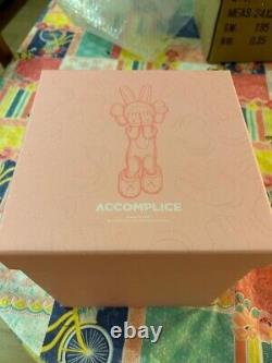 2023 Kaws Accomplice Plush Limited Edition Exclusive Drop- IN HAND