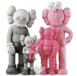 BRAND NEW KAWS Family Vinyl Figures 2022 Grey / Pink IN HAND