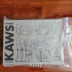 DELIVERED / KAWS FAMILY grey/pink