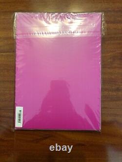 Hypebeast Magazine Alternate Cover Issue 16 Projection Issue KAWS Pink