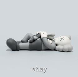 In-hand? Kaws Holiday Singapore Figure Grey