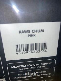KAWS CHUM 2022 Pink Collectible Item Deadstock ORDER RECEIVED ShopStudio TORNO