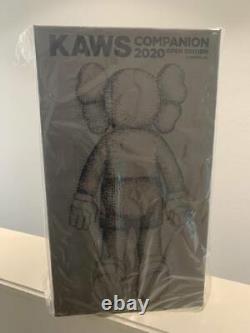KAWS Companion 2020 Figure FW20 release Brown