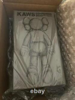 KAWS Companion 2020 Figure FW20 release Brown