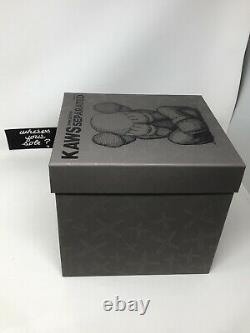 KAWS Companion Separated Brown Vinyl Figure 2021 in hand what party brooklyn NEW