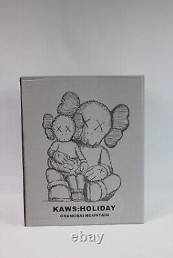 KAWS Holiday Chanbai Mountain Vinyl Figure Black