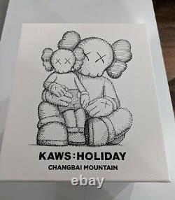 KAWS Holiday Changbai Mountain