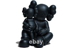 KAWS Holiday Changbai Mountain BLACK Brand New and In-hand