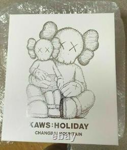 KAWS Holiday Changbai Mountain Vinyl Figure Brown In Hand