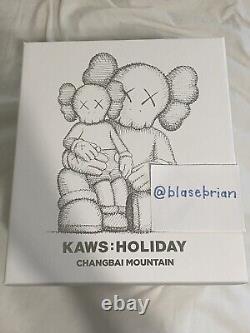 KAWS Holiday Changbai Mountain Vinyl Figure Brown New