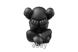 KAWS Separated Vinyl Figure Brooklyn Museum What Party Brand New Sealed