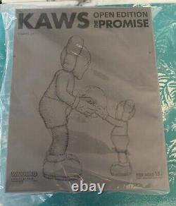 KAWS THE PROMISE Vinyl Figure Brown CONFIRMED ORDER UNOPENED