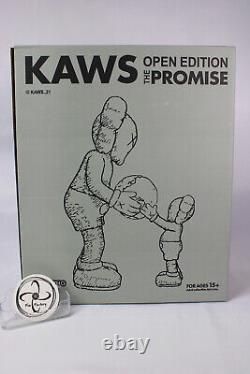 KAWS THE PROMISE Vinyl Figure gray