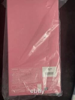 KAWS Take Vinyl Figure Open Edition Pink
