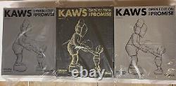 KAWS The Promise companions Set of 3 Brown, Grey & Black NY IN HAND SHIP WW