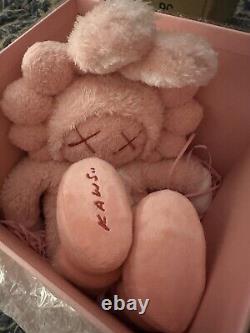 Kaws Accomplice Plush 2023 /2000 Limited Pink In Hand