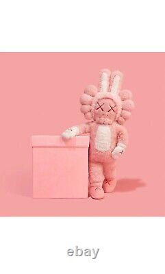 Kaws Accomplice Plush 2023 /2000 Limited Pink In Hand