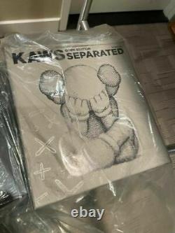 Kaws Separated Grey Vinyl Figure 2021 IN HAND BRAND NEW! READY TO SHIP