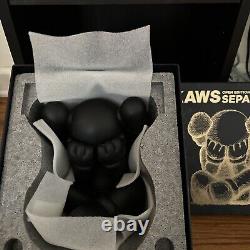 Kaws Separated Open Edition All Black