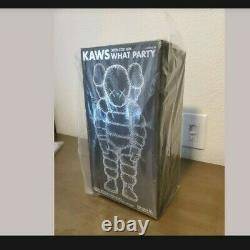Kaws What Party Black Edition Vinyl Figure In Hand BRAND NEW IN BOX ships asap