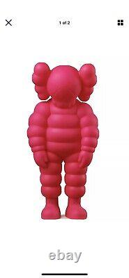 Kaws What Party Pink IN HAND Authentic New