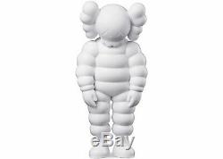 Kaws What Party White CONFIRMED ORDER