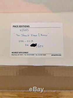 Kaws You Should Know I Know Print In Original Package With Original Recipe