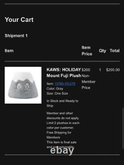 Kaws holiday mt Fuji plush gray