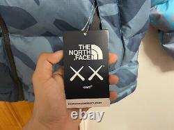 Kaws north face jacket