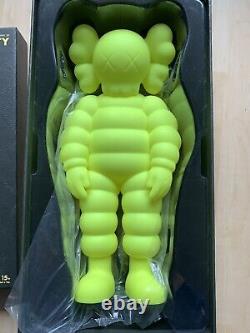 Kaws what party figure Yellow