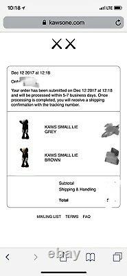 MEDICOM TOY KAWS SMALL LIE Gray FIGURE LIMITED Companion figure vinyl In Hand