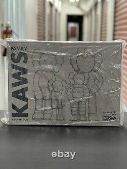 New Kaws Family Figures 2021'Brown/Blue/White' Limited Edition