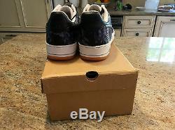 Nike Air Force 1 SBTG Methamphibian us 11, busy, kaws, undefeated, sneaker, AF1