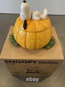 Original Fake Snoopy'Kaws Version' Ceramic Cookie Jar