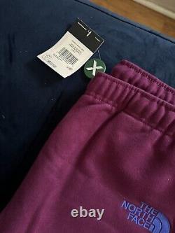The North Face x KAWS Sweatpant Pamploma Purple Large Brand New